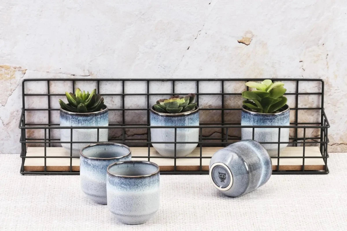 Björn Tassen - Set GENESIS 150ml - 6tlg. - Meer kaufen Bjorn Schweiz Webshop Onlineshop