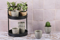 Cup STELLAR 15cl - 6 pieces - Concrete grey