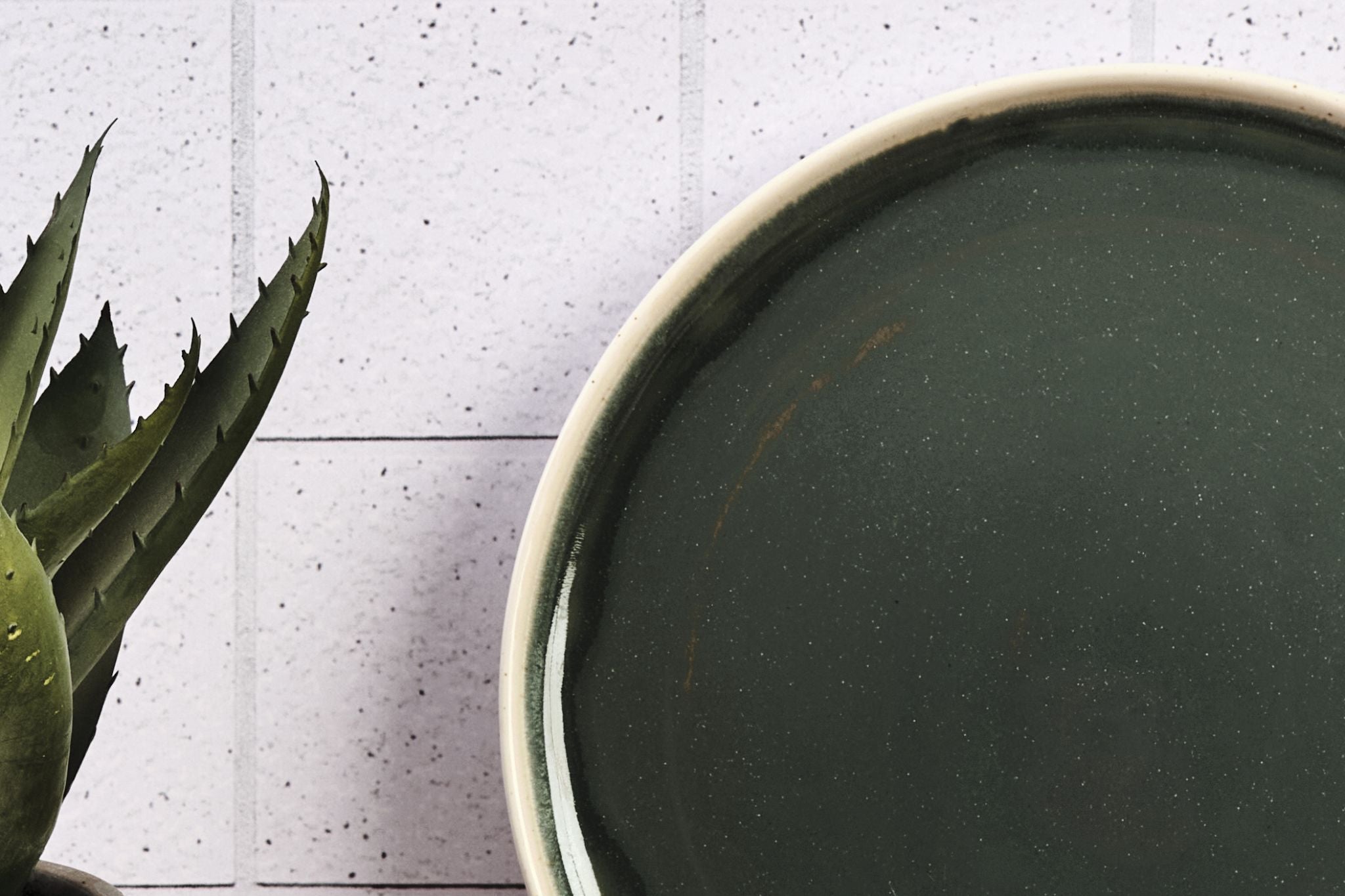 Assiette OXYGEN Ø27cm - 6 pièces - Vert de gris